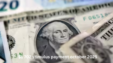 $1 702 stimulus payment october 2025