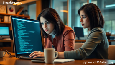 python sdk25.5a burn lag